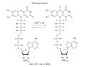 Illustration of FAD redox reaction Royalty Free Stock Photo