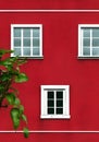 An Illustration of a Faded Dark Red Wall with White Windows and Lush Greenery