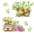 Illustration, fairy house cactus in a pot, can be used for postcards, prints, posters.