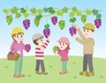 Illustration of the family doing grape picking. Royalty Free Stock Photo