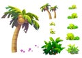 Illustration: Fantastic Tropical Beach Elements / Objects Set 1.