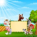 Farm animals with a blank sign tied bamboo Royalty Free Stock Photo