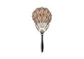 Illustration of a feather duster with a black handle and dense plumage. The feathers are depicted Royalty Free Stock Photo