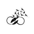 Feather and birds. Black and white vector illustration of stylized feather with silhouettes of flocks of birds