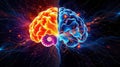 Brightly colored brain illustration depicting left and right hemisphere differences in a vibrant, abstract style Royalty Free Stock Photo