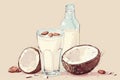 illustration featuring coconut drink in a glass and bottle, with open coconut pod on a creamy beige backdrop