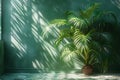 Featuring a shadows of palm tree leaves on wall of green room Royalty Free Stock Photo