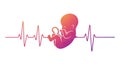 Illustration featuring a stylized fetus in profile, colored in a gradient of pink, orange, Royalty Free Stock Photo