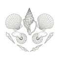 Illustration featuring various seashells arranged symmetrically on a white Royalty Free Stock Photo
