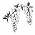 Monochrome Wisteria Branch Drawing: Graphical And Delicate Floral Art