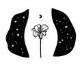 Illustration of a female figure with a lily on a background of the night sky. The concept of caring for womens intimate