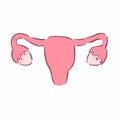 Illustration of a female reproductive system