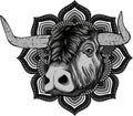 monochromatic ferocious bull head on a white background Royalty Free Stock Photo