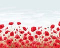 an illustration of a field of red poppies Royalty Free Stock Photo