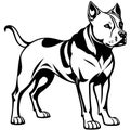 Illustration of a fierce black and white fighting dog pit bull Royalty Free Stock Photo