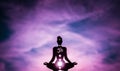 Illustration of a figure showing chakras - the color Purple shows the Crown Chakra