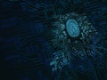 Illustration of a fingerprint surrounded by a microchip pattern.