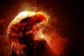 Illustration of fire burning eagle with black background Royalty Free Stock Photo