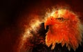 Illustration of fire burning eagle with black background Royalty Free Stock Photo