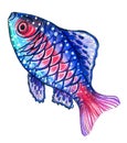 illustration of a fish