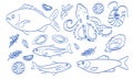 Illustration of fish, octopus, and shellfish with related elements Royalty Free Stock Photo