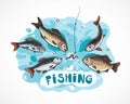 Illustration fly about fishing