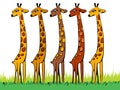 Fleet of giraffes