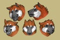 Five expressions of a canine characters
