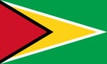 An illustration of the flag of Guyana with copy space