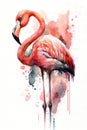 Illustration flamingo in watercolor. Animal on a white background, generative AI