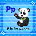 Flashcard letter P is for panda