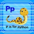 Flashcard letter P is for python