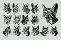 Illustration of flat detailed side view abyssinian cat head design set Royalty Free Stock Photo