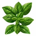 Illustration in flat icon style logo of a branch of aromatic spicy greenery