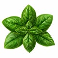 Illustration in flat icon style logo of a branch of aromatic spicy greenery