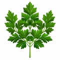 Illustration in flat icon style logo of a branch of aromatic spicy greenery