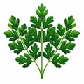 Illustration in flat icon style logo of a branch of aromatic spicy greenery