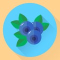 Illustration, flat round icon blueberries, bilberry, blue