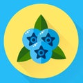 illustration, flat round icon blueberries, blue berries w