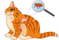 Illustration of flea Infested cat Royalty Free Stock Photo