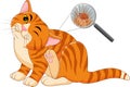 Illustration of flea Infested cat Royalty Free Stock Photo