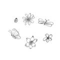 Illustration of flower element pattern Royalty Free Stock Photo