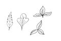 Illustration of flower element pattern Royalty Free Stock Photo