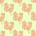 Illustration of flower, jasmine. Seamless pattern.