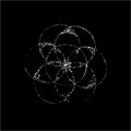 Illustration of the flower of life in the style of dotwork. Tattoo idea. Chalk on a blackboard.