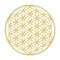 Flower of Life Royalty Free Stock Photo