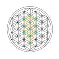 Flower of life with Kabbalah tree of life, Judaism Royalty Free Stock Photo