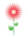 Illustration of a flower with a red gerbera on a stem with leaves.