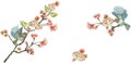 Flower Illustration pattern in simple background Royalty Free Stock Photo