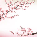 Illustration of flowering branch of Sakura. EPS 10